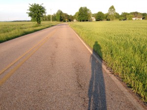 photo (11)