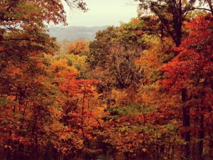 Scenes from my favorite Nashville park. 