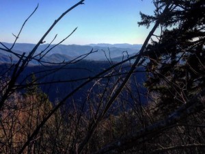 smokies