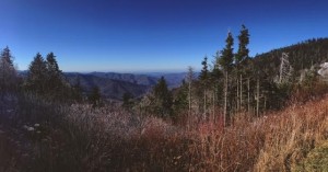 smokies2